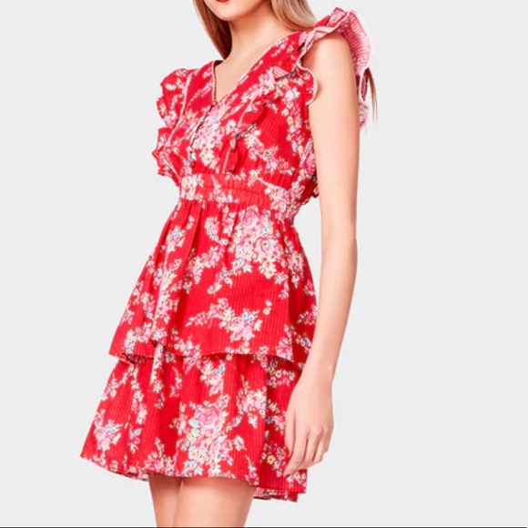 Betsey Johnson Garden Print Seersucker Dress True Red sz Small - Picture 2 of 7